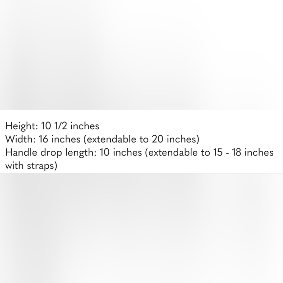 Cuyana Le Sud Day Bag - Picture 11 of 11